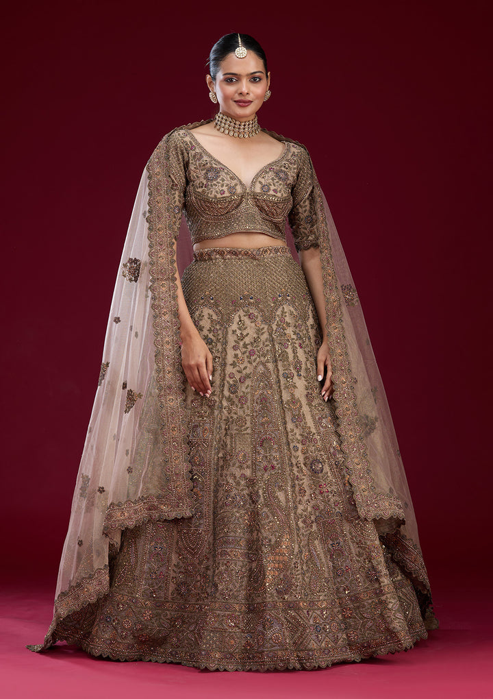 Off White Zariwork Tissue Semi Stitched Lehenga