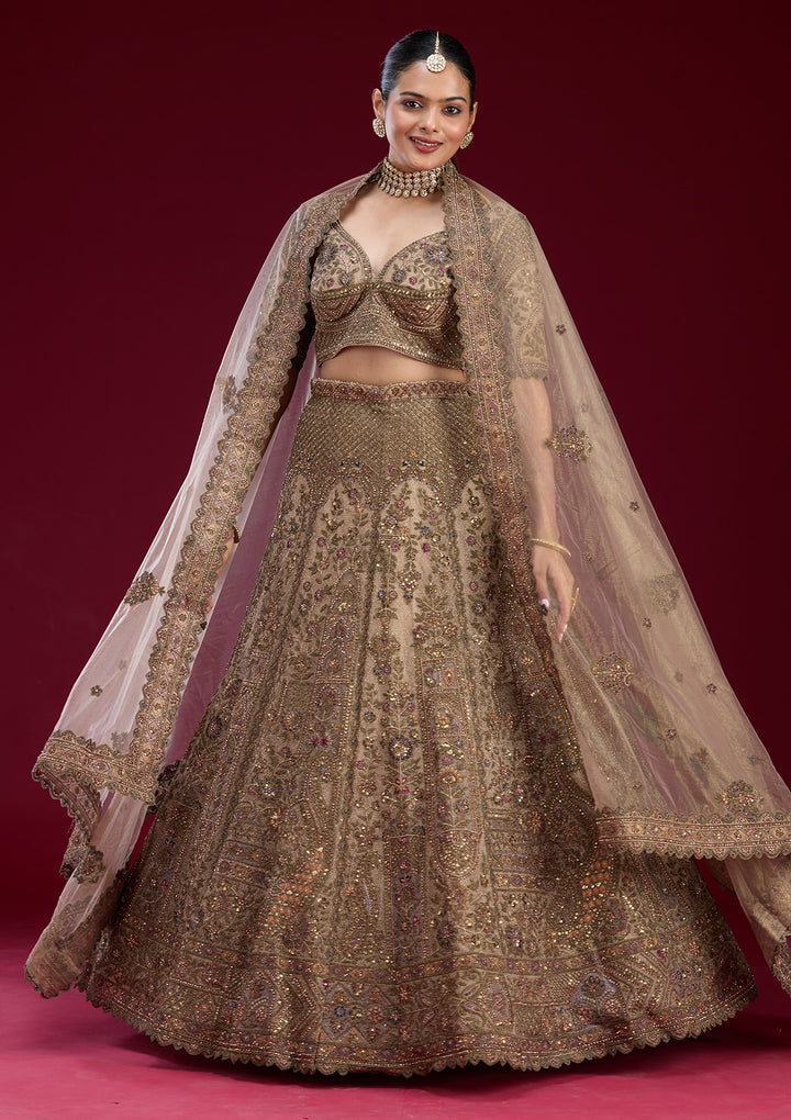 Off White Zariwork Tissue Semi Stitched Lehenga