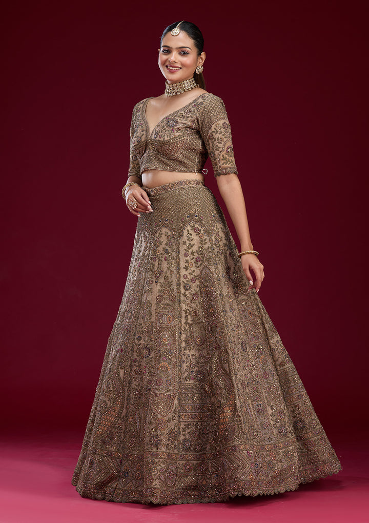 Off White Zariwork Tissue Semi Stitched Lehenga