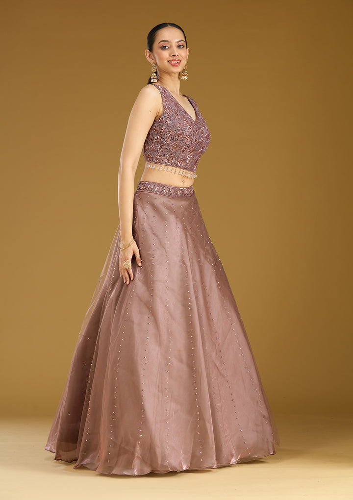 Light Brown Sequins Net Readymade Lehenga
