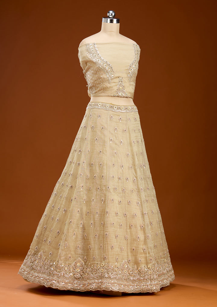 Beige Stonework (Gold) Tissue Readymade Lehenga