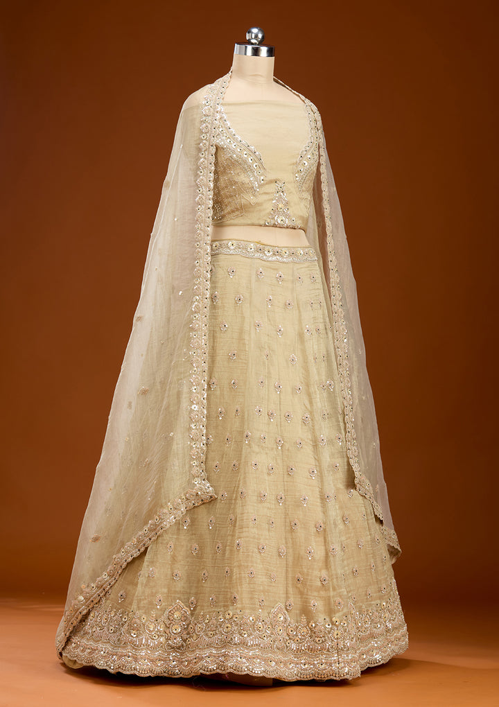 Beige Stonework (Gold) Tissue Readymade Lehenga