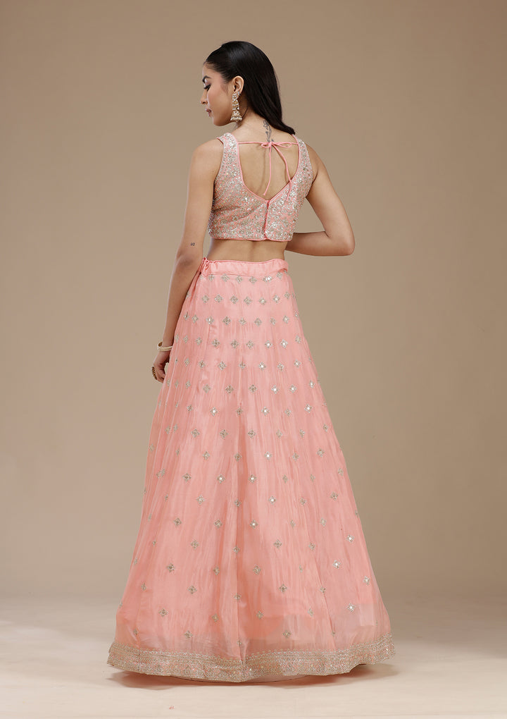 Light Peach Zariwork (Gold) Semi Crepe Readymade Lehenga