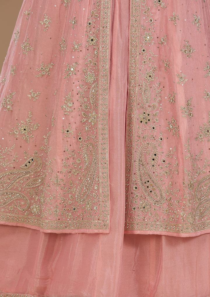 Silver Zariwork Pink Soft Raw Silk Stitched Lehenga Blouse With Dupatta