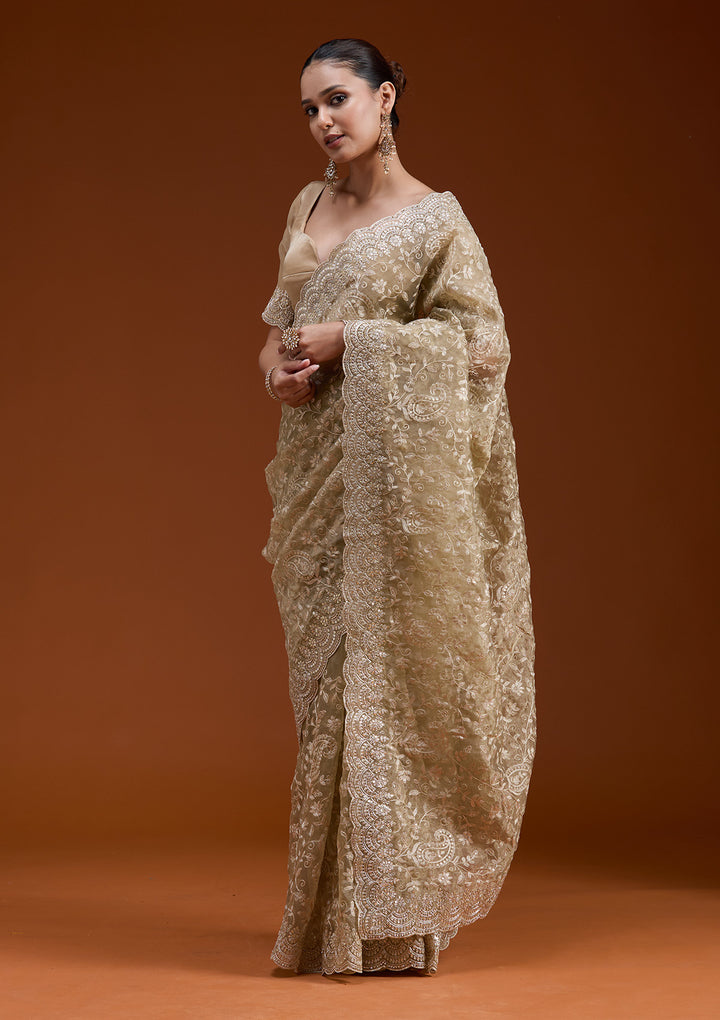Gold Cording Tissue Saree