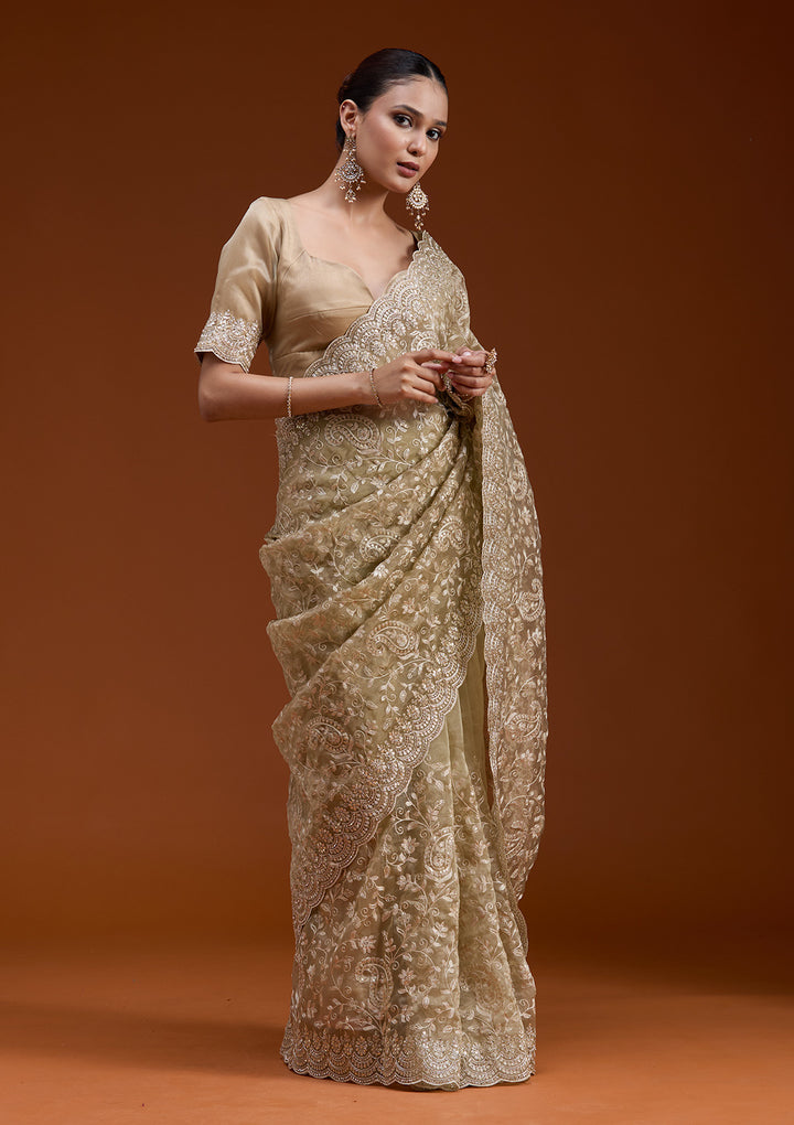 Gold Cording Tissue Saree
