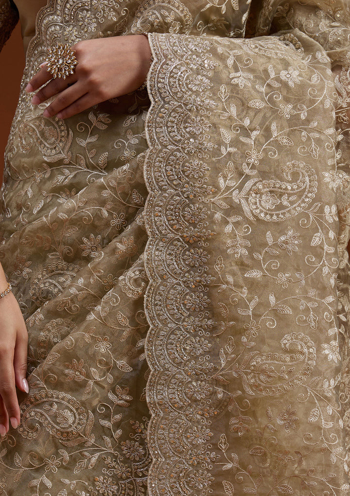 Gold Cording Tissue Saree