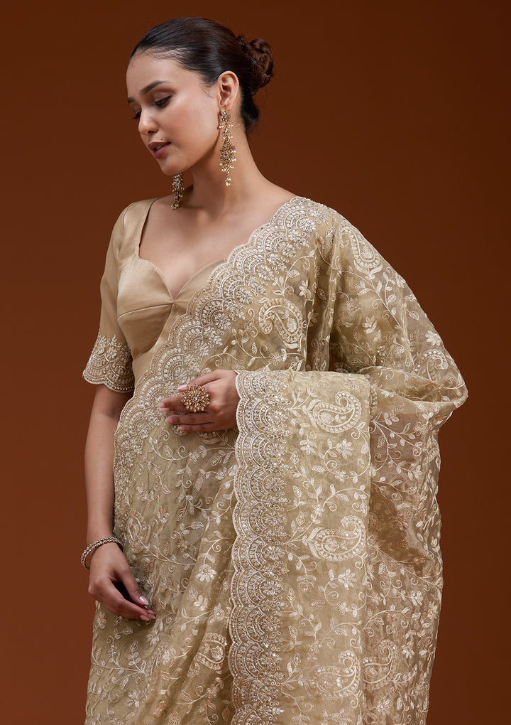Gold Cording Tissue Saree