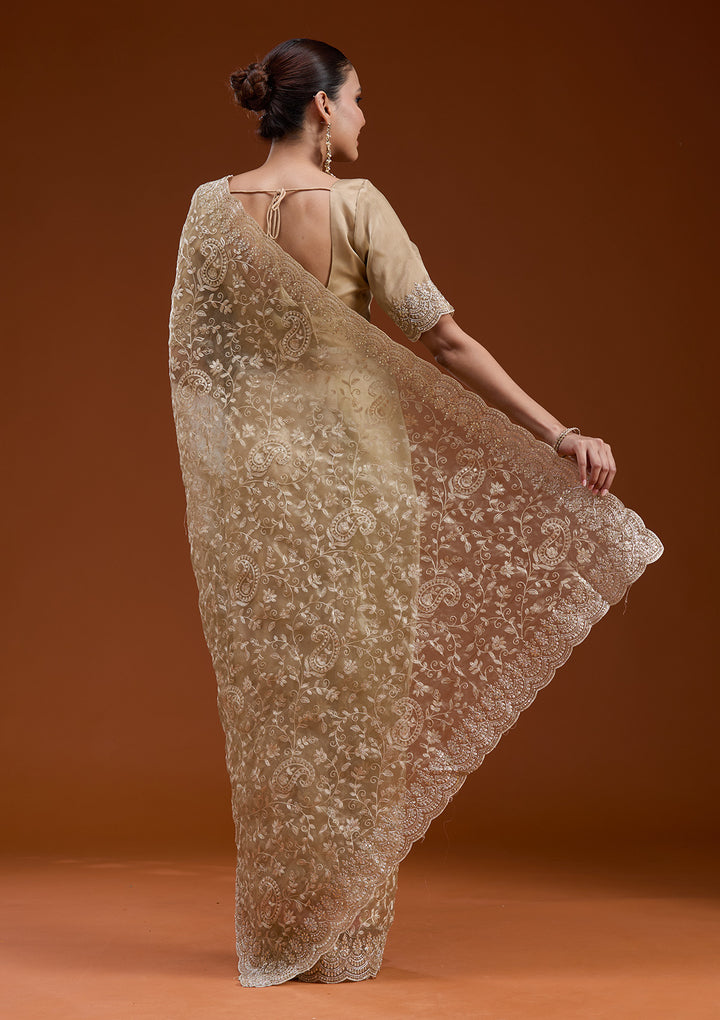 Gold Cording Tissue Saree