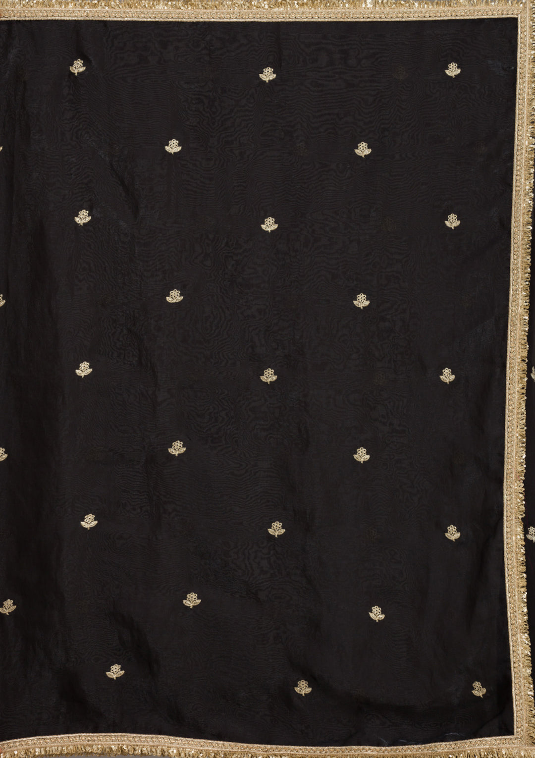 Black Stonework (Gold) Tissue Saree