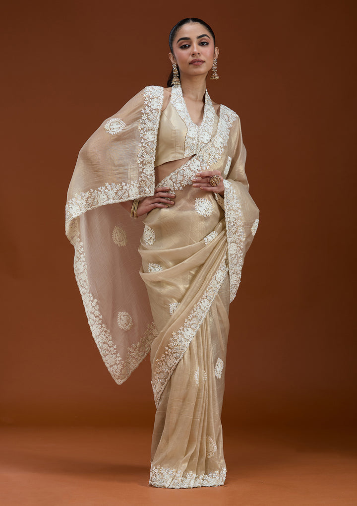 Beige Pearlwork Tissue Saree