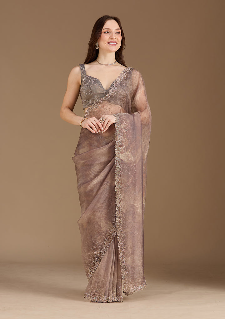 Brown Stonework (Gold) Tissue Saree