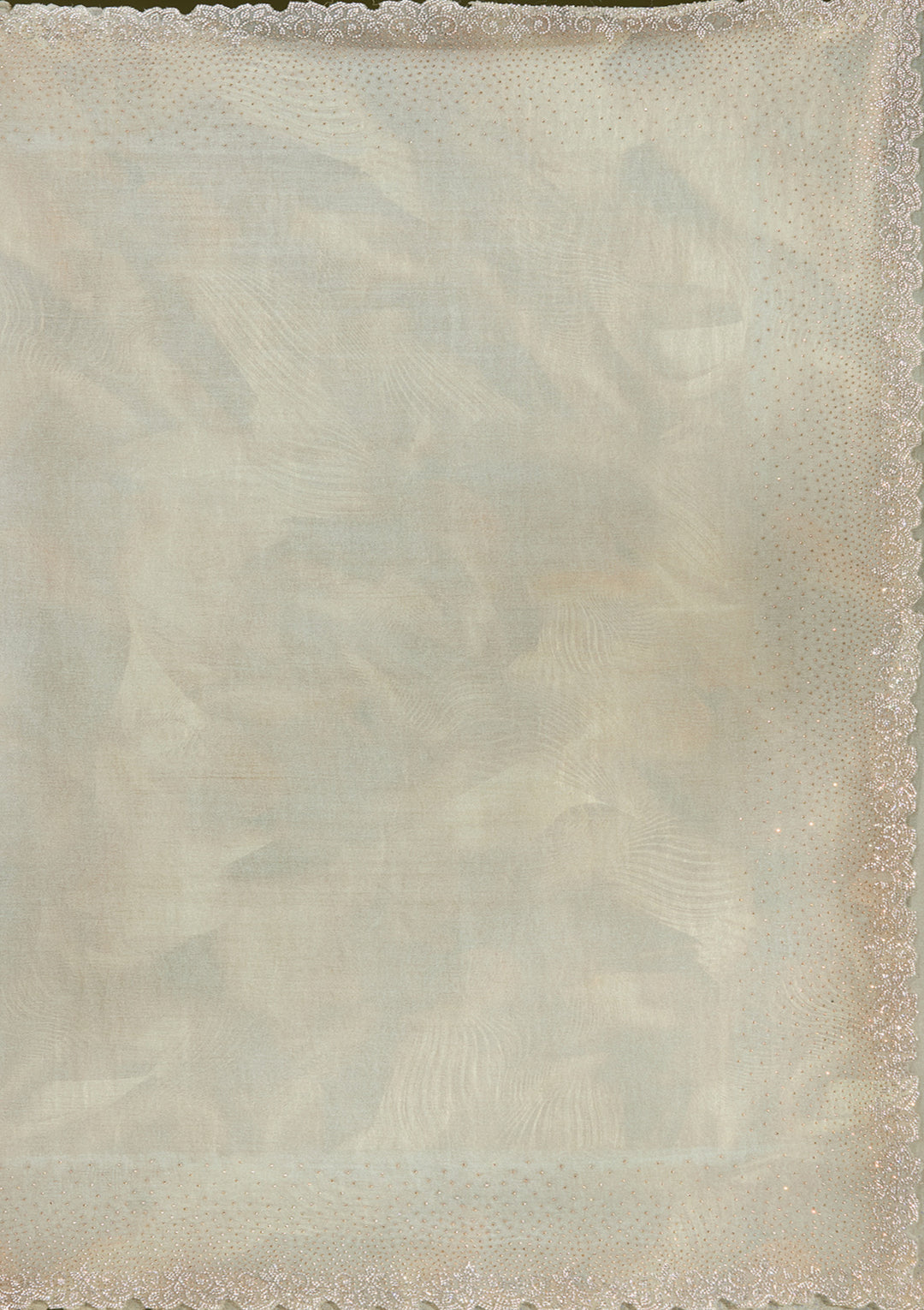 Off White Stonework (Gold) Tissue Saree