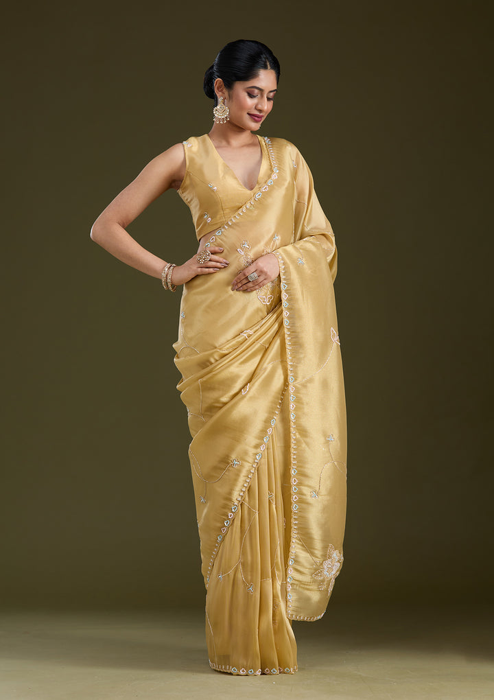 Gold Tissue Aariwork Saree With Matching Blouse Piece