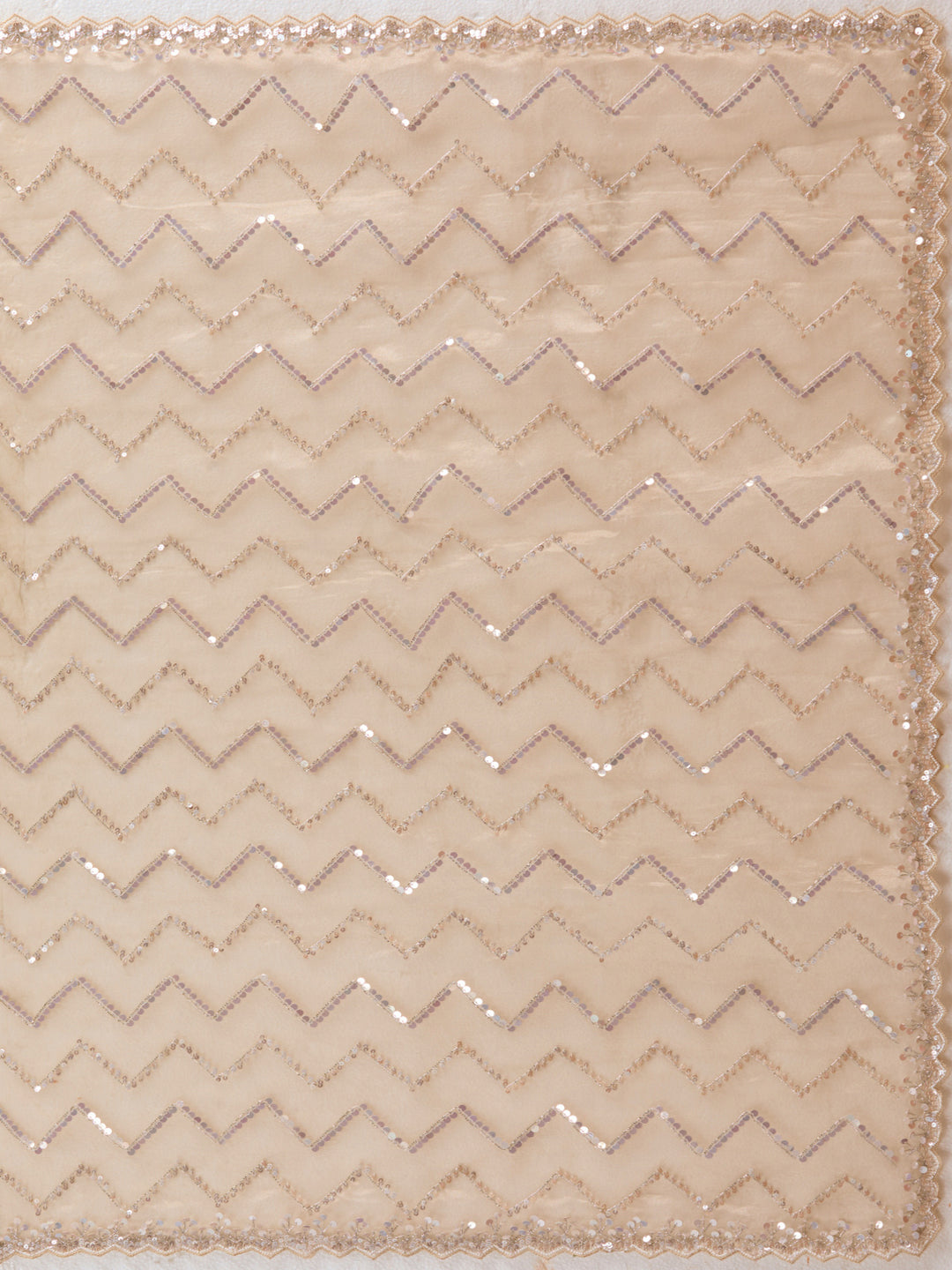Beige Organza Sequins Saree With Matching Blouse Piece