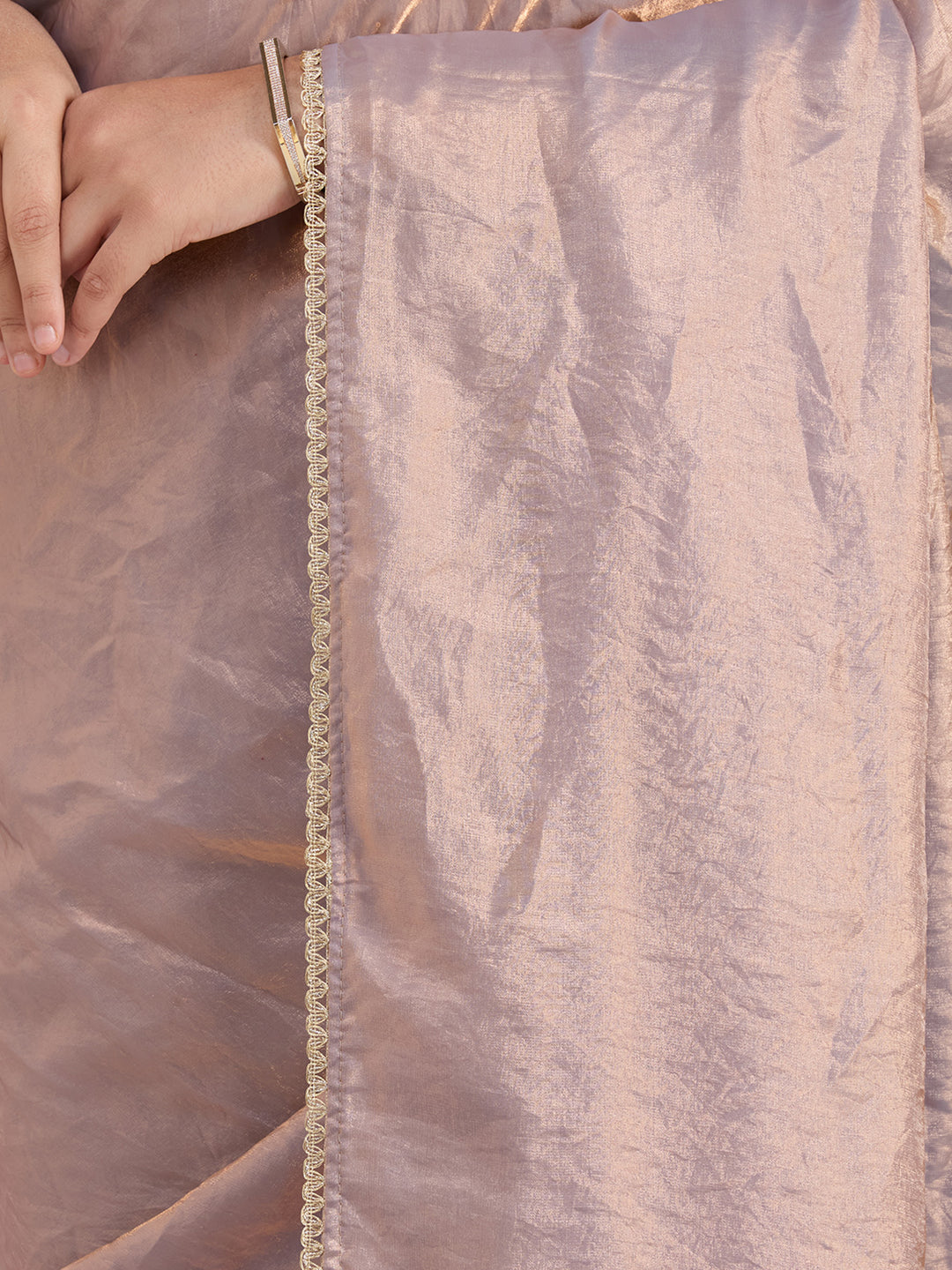 Grey Sequins Organza Saree