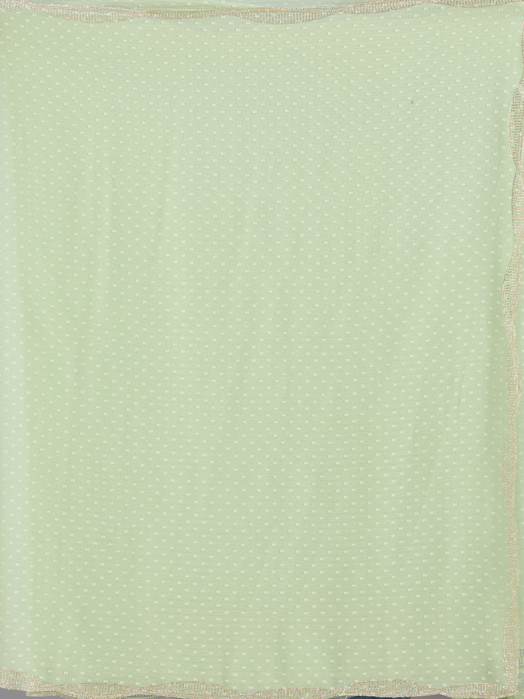 Pista Green Stonework (Silver) Chiffon Saree