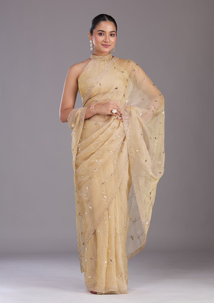 Beige Tissue Gold Stonework Saree With Matching Blouse Piece