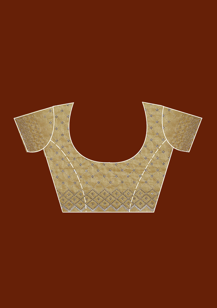 Mehendi Stonework (Silver) Tissue Saree