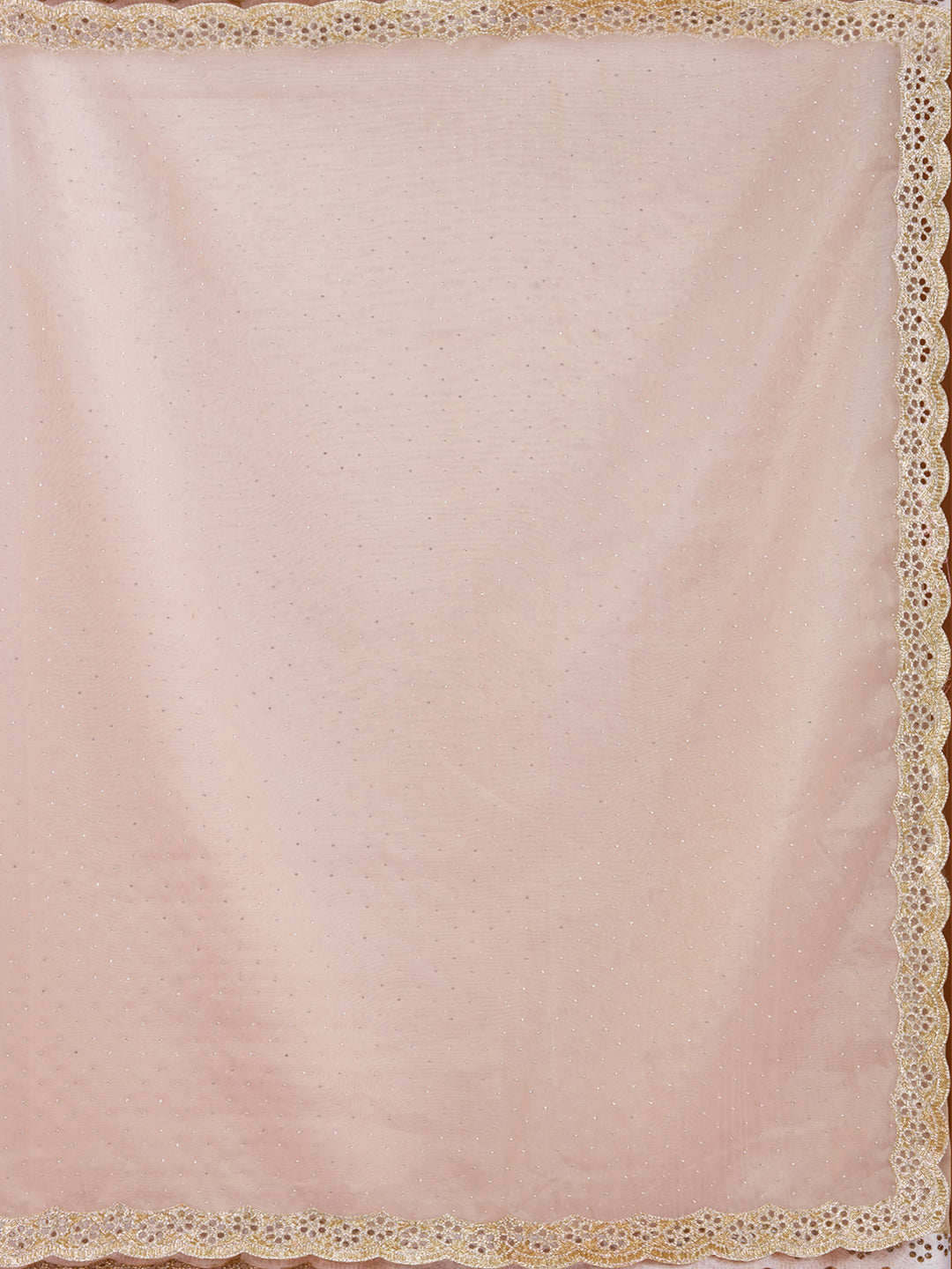 Beige Cutdana Tissue Saree