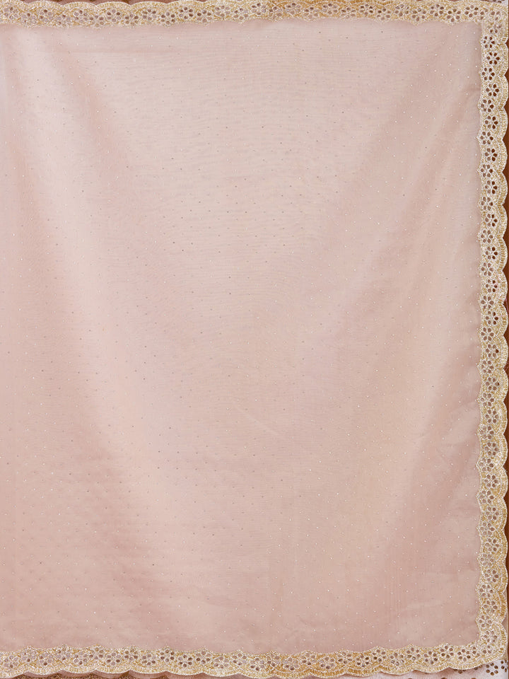 Beige Cutdana Tissue Saree