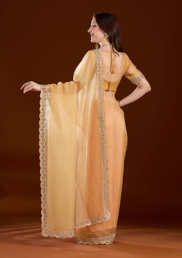 Gold Cutdana Tissue Saree