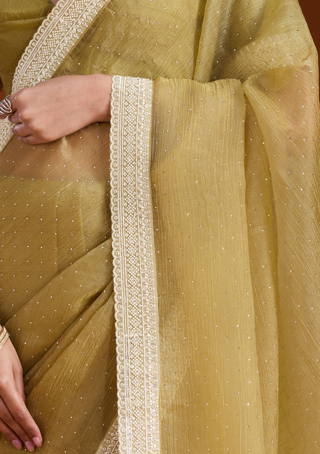 Mehendi Zariwork (Gold) Tissue Saree