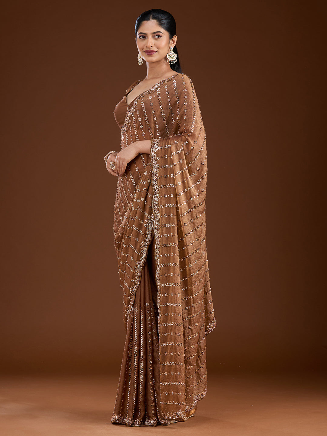 Brown Cutdana Tissue Saree