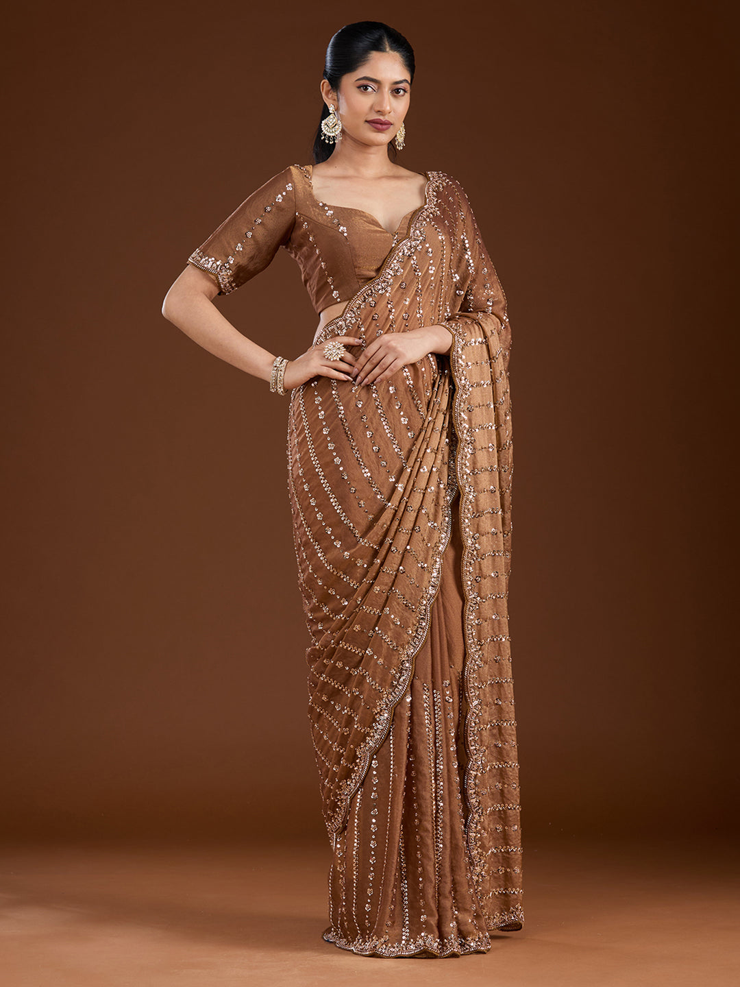 Brown Cutdana Tissue Saree