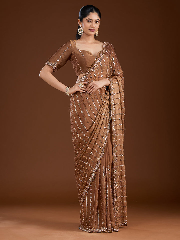 Brown Cutdana Tissue Saree