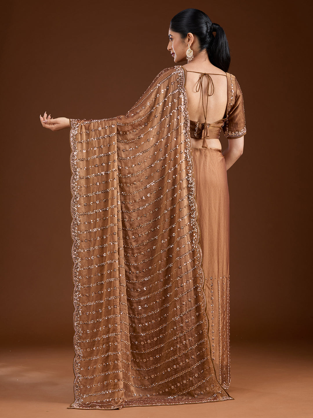 Brown Cutdana Tissue Saree