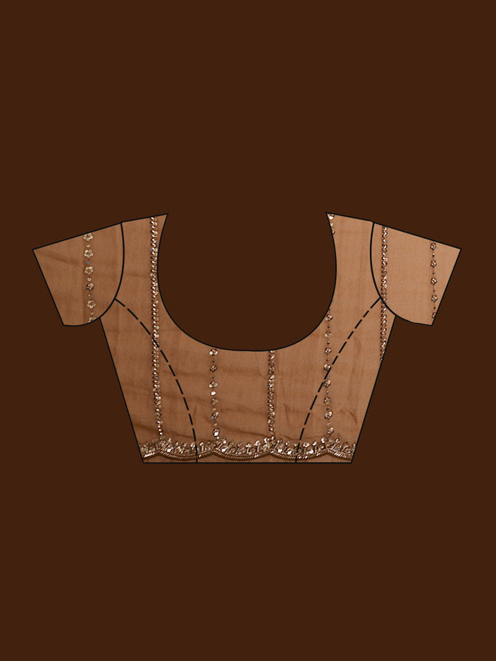 Brown Cutdana Tissue Saree