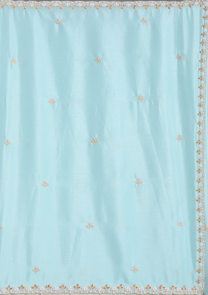 Sky Blue Zariwork (Gold) Chinon Saree
