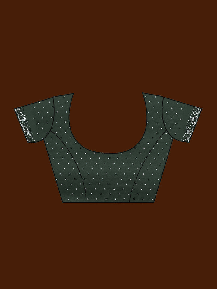 Pista Green Stonework (Silver) Velvet Saree