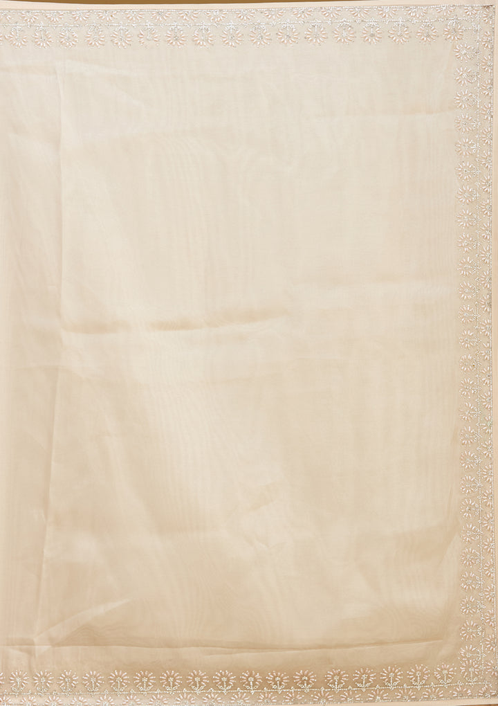 Beige Pearlwork Tissue Saree