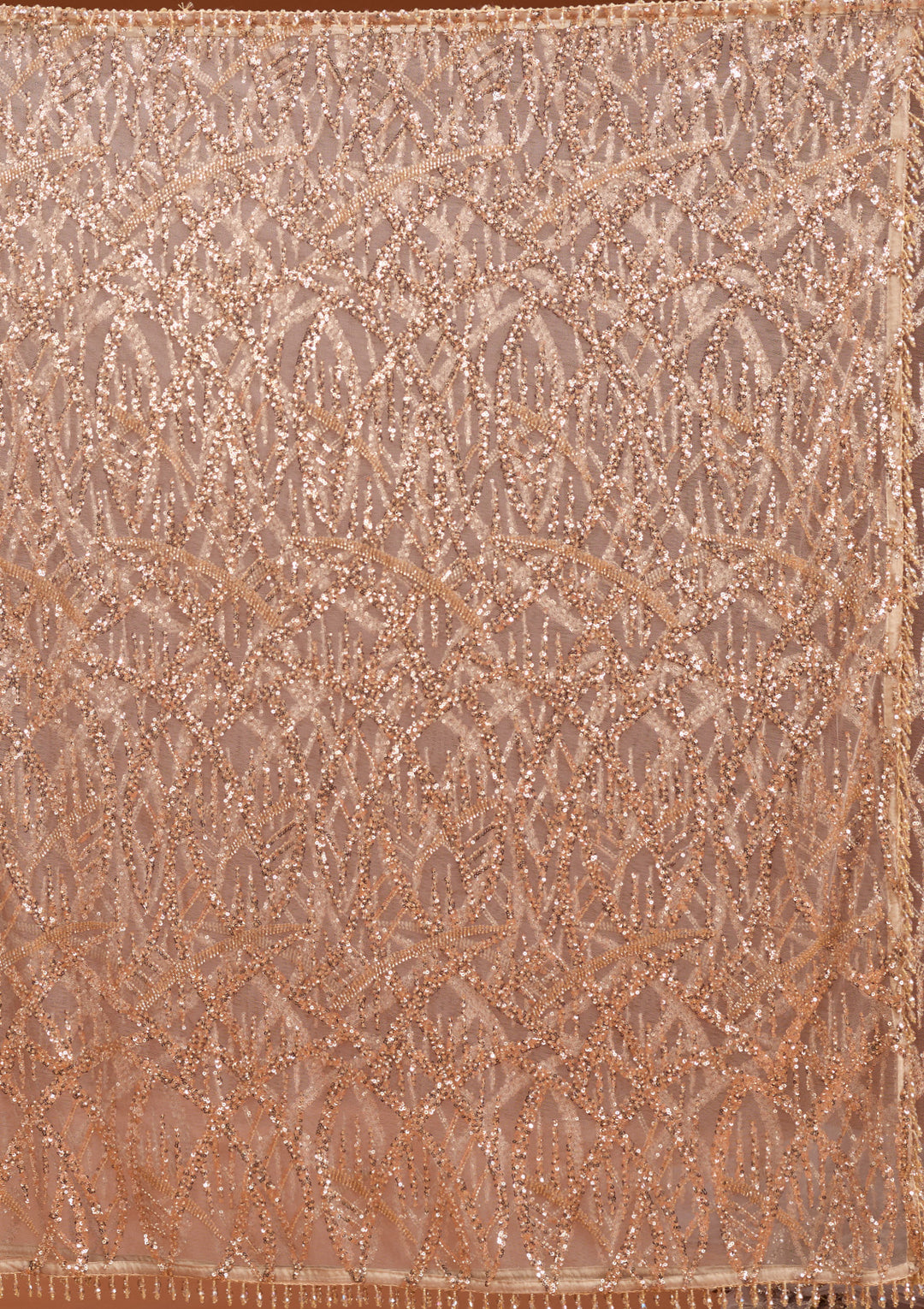 Beige Net Sequins Saree With Matching Blouse Piece