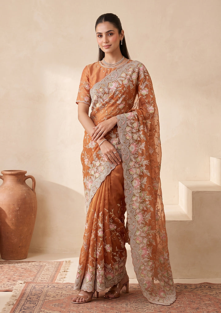 Rust Threadwork Tissue Saree