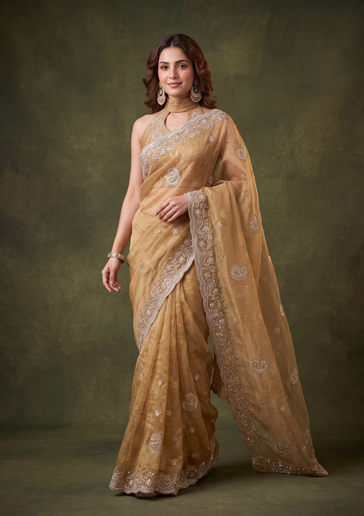Gold Tissue Threadwork Saree With Matching Blouse Piece