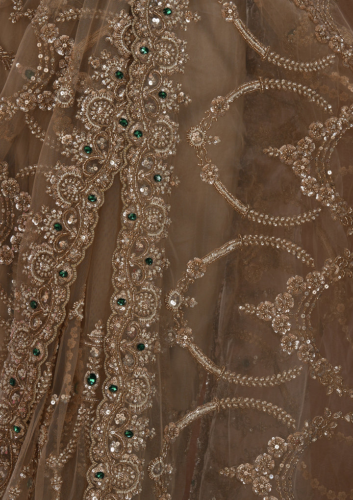 Beige Cutdana Net Saree