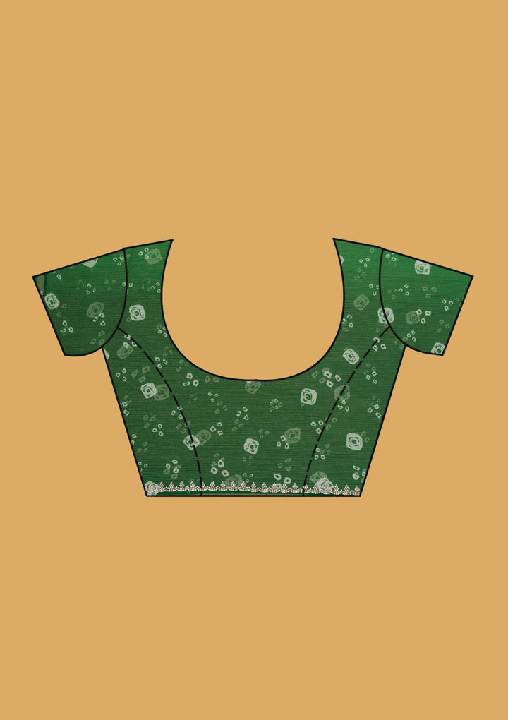 Leaf Green Stonework (Silver) Chiffon Saree