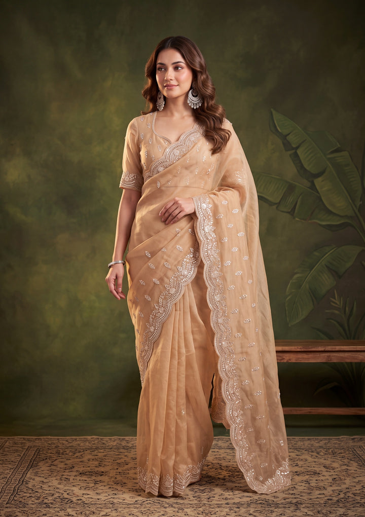 Beige Tissue Aariwork Saree With Matching Blouse Piece