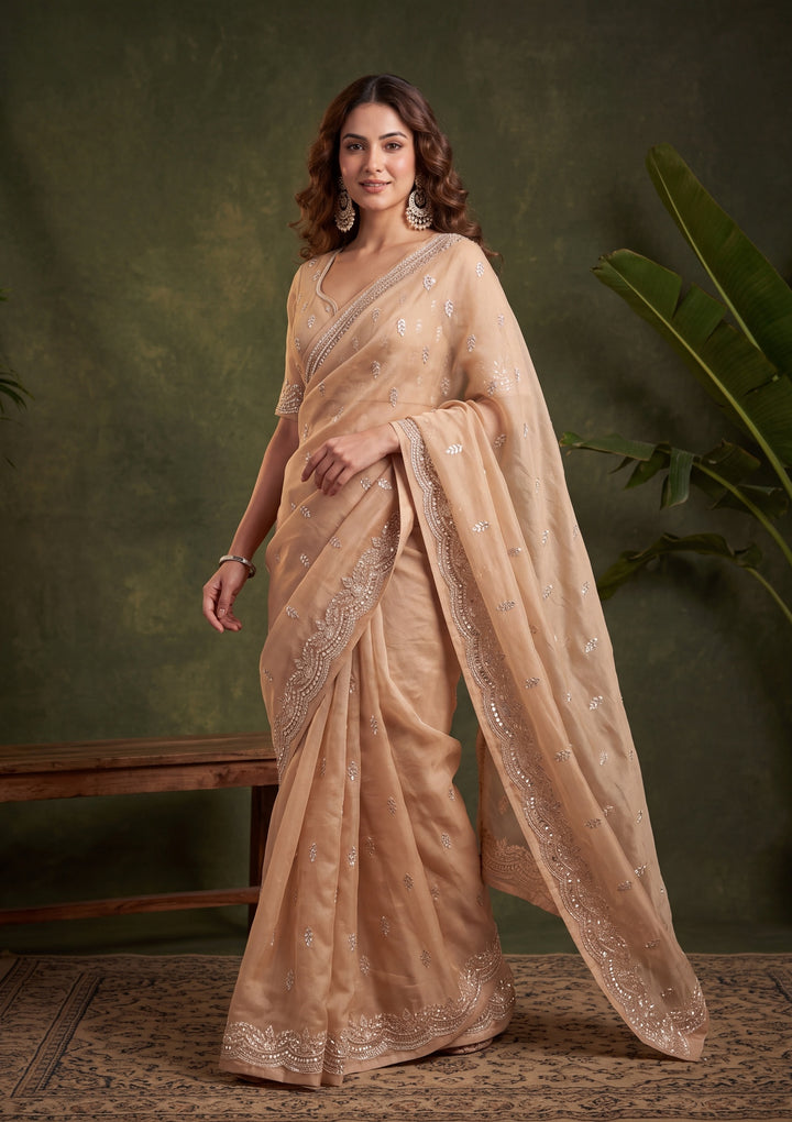 Beige Tissue Aariwork Saree With Matching Blouse Piece