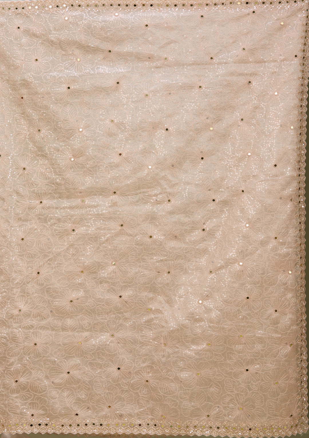 Off White Tissue Threadwork Saree With Matching Blouse Piece