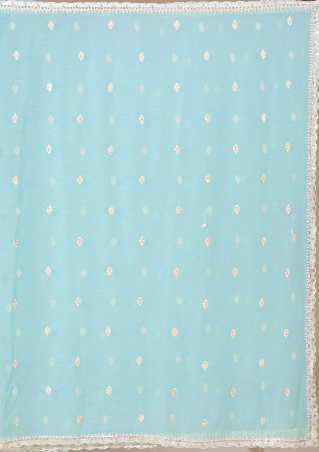 Sky Blue Chiffon Threadwork Saree With Matching Blouse Piece