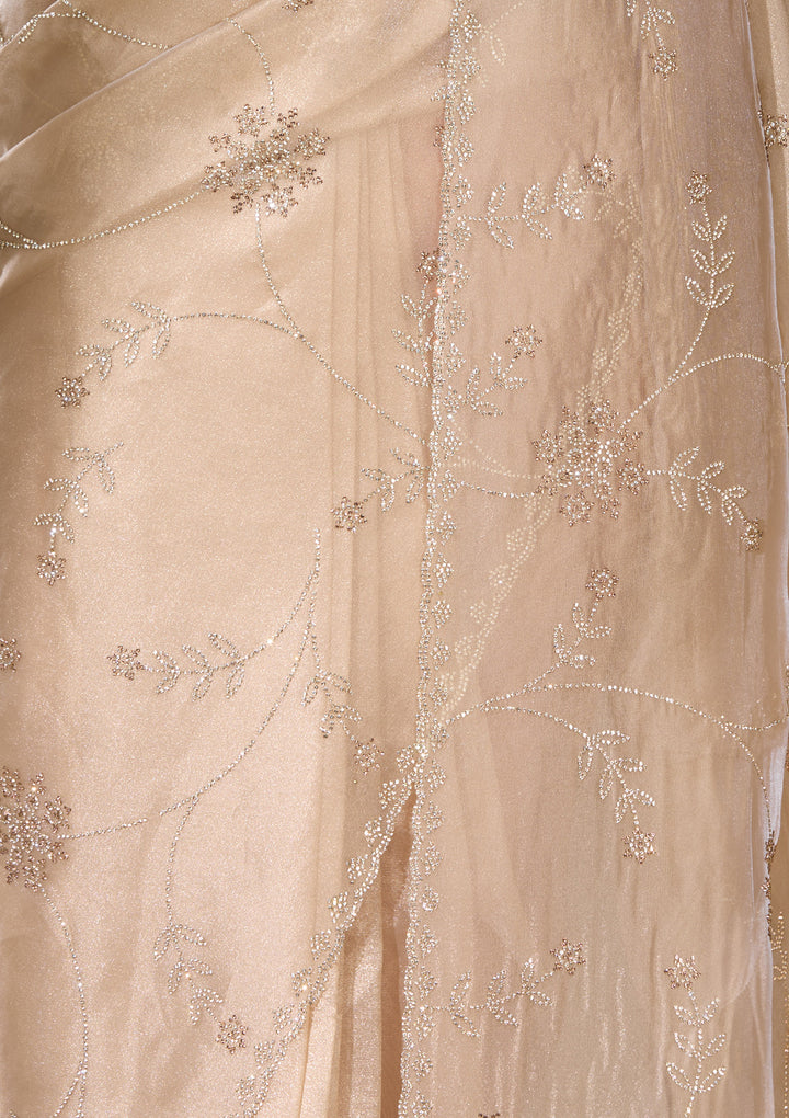 Beige Tissue Gold Stonework Saree With Matching Blouse Piece