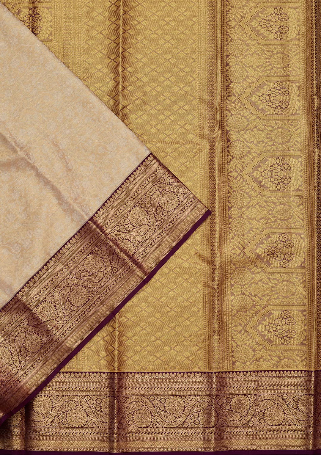 Gold Tissue Jaal Saree With Matching Blouse Piece