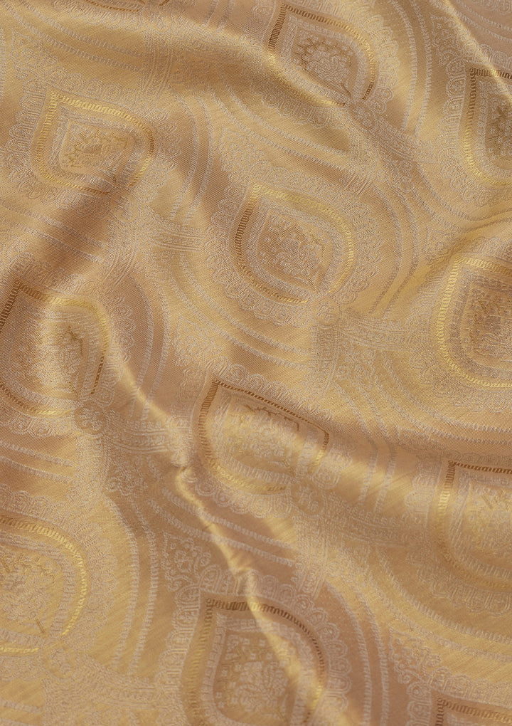 Gold Tissue Jaal Saree With Matching Blouse Piece