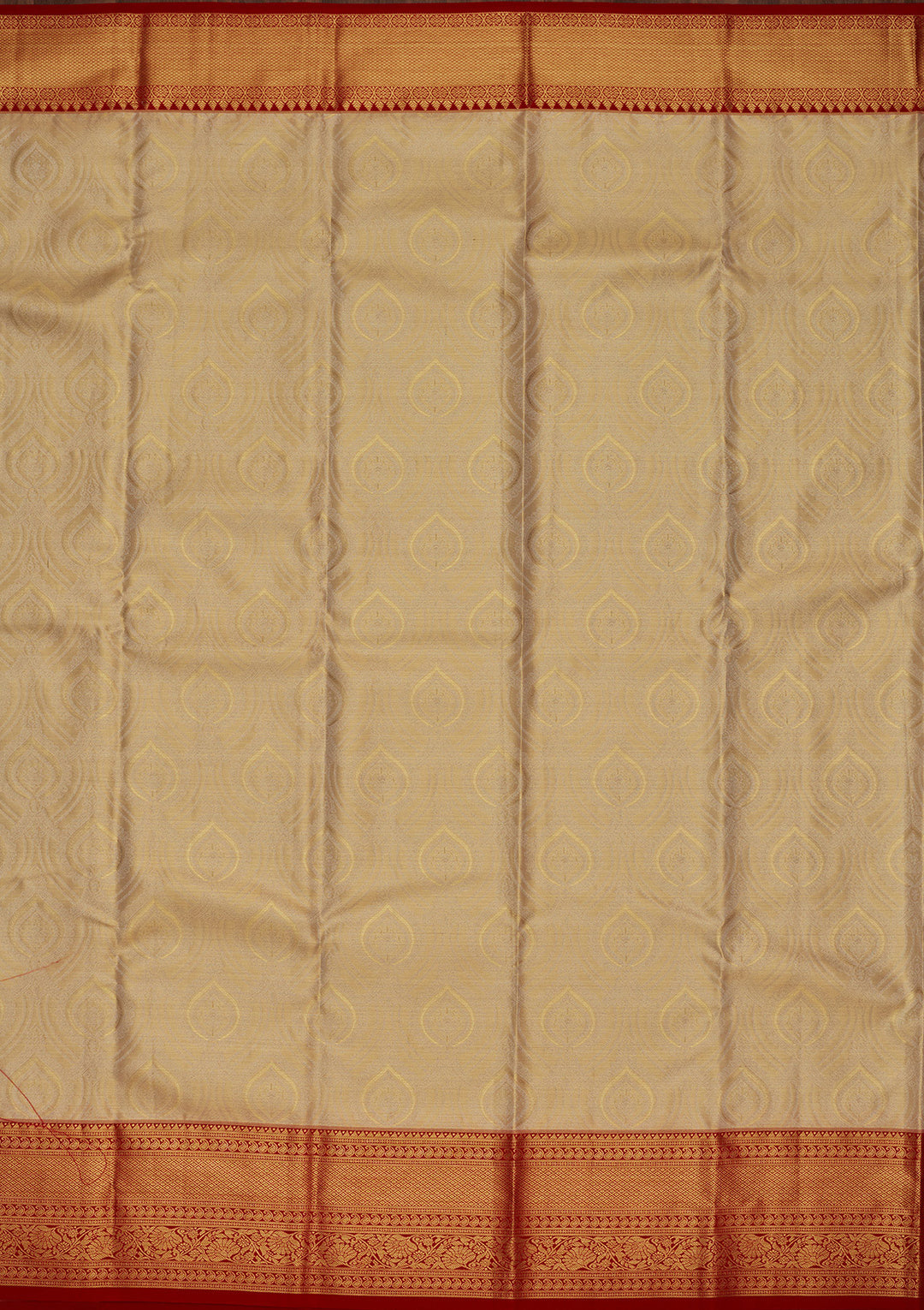 Gold Tissue Jaal Saree With Matching Blouse Piece