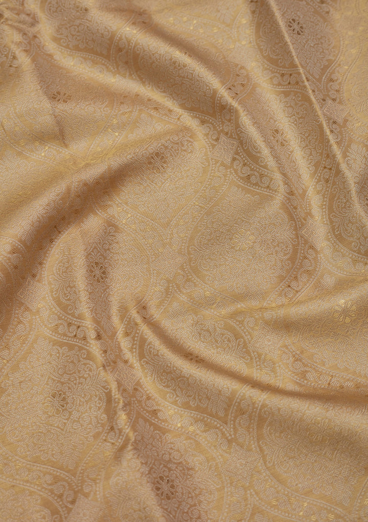 Gold Tissue Jaal Saree With Matching Blouse Piece