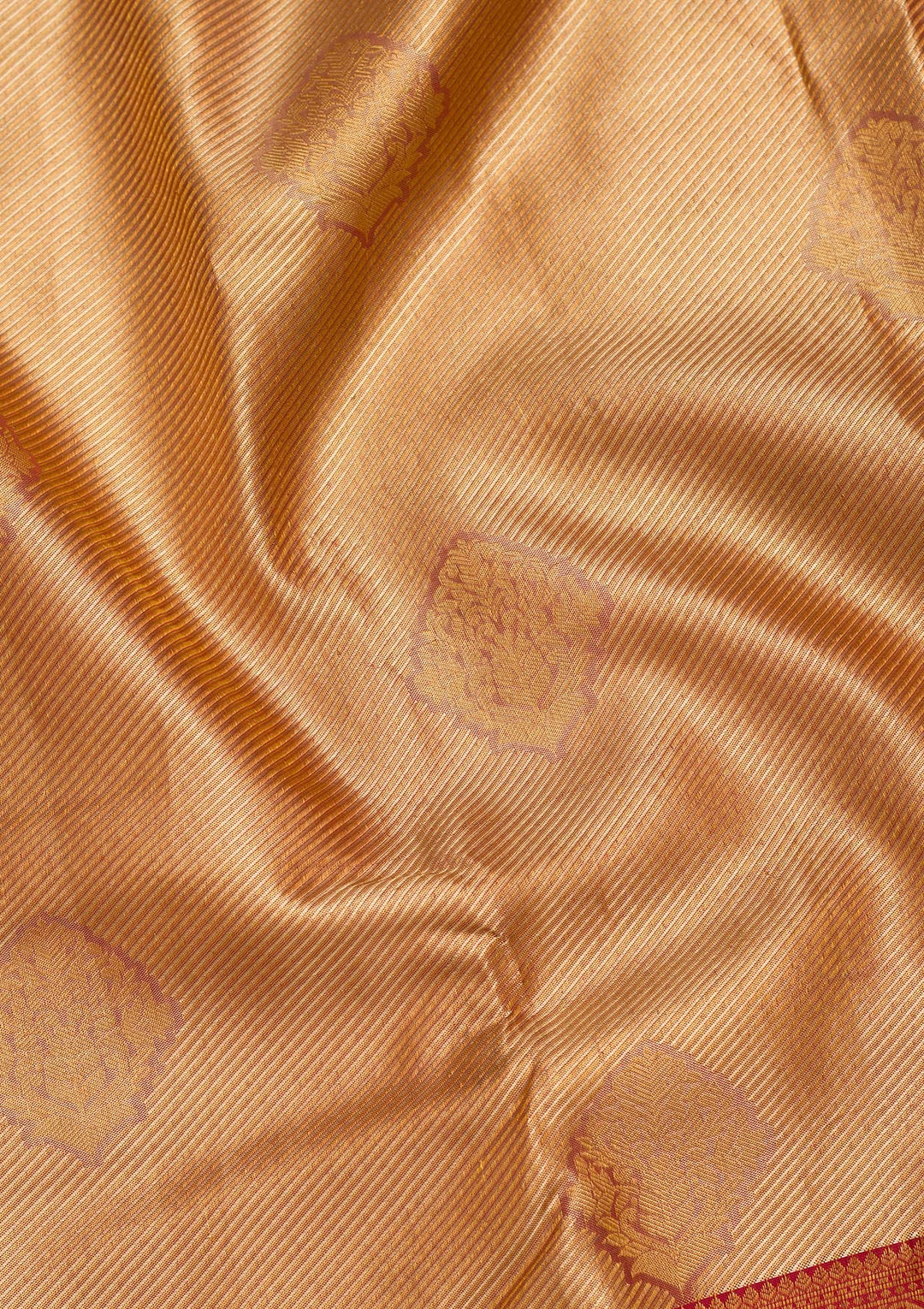 Gold Tissue Jaal Saree With Matching Blouse Piece